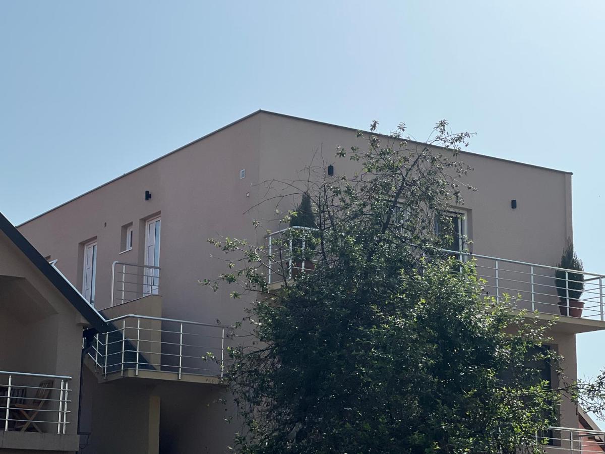 Apartman Scepanovic Niksic Exterior photo